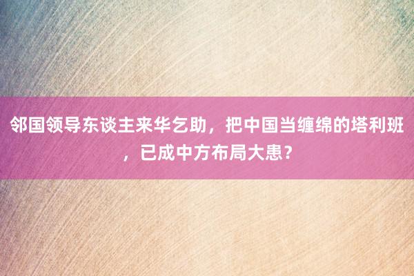 邻国领导东谈主来华乞助，把中国当缠绵的塔利班，已成中方布局大患？