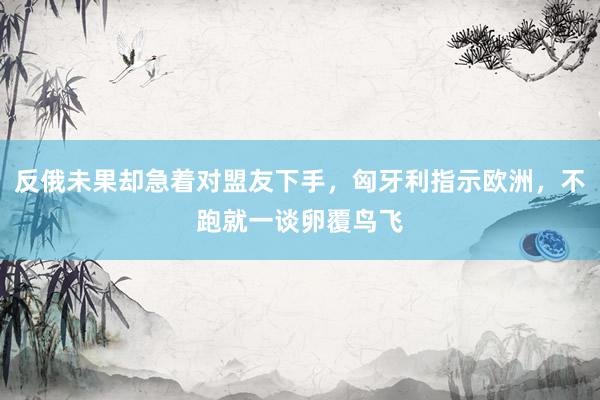 反俄未果却急着对盟友下手，匈牙利指示欧洲，不跑就一谈卵覆鸟飞