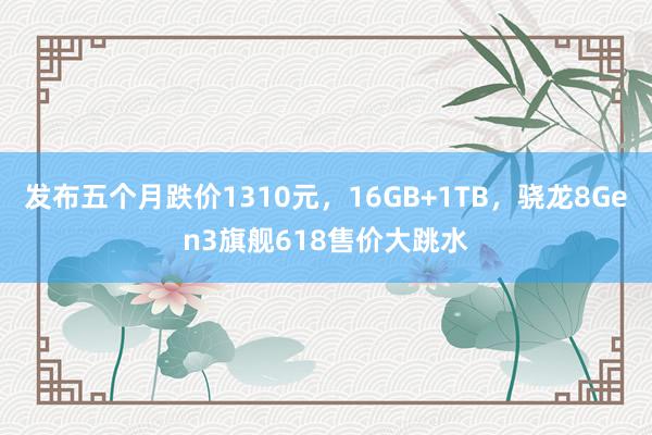 发布五个月跌价1310元，16GB+1TB，骁龙8Gen3旗舰618售价大跳水