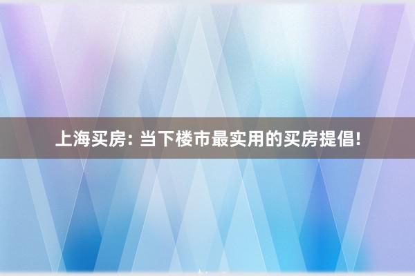 上海买房: 当下楼市最实用的买房提倡!