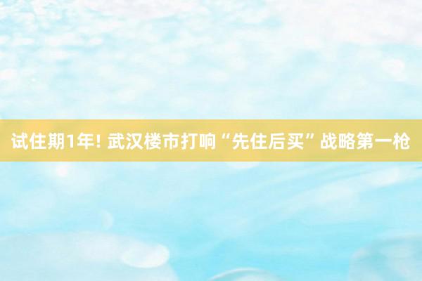 试住期1年! 武汉楼市打响“先住后买”战略第一枪