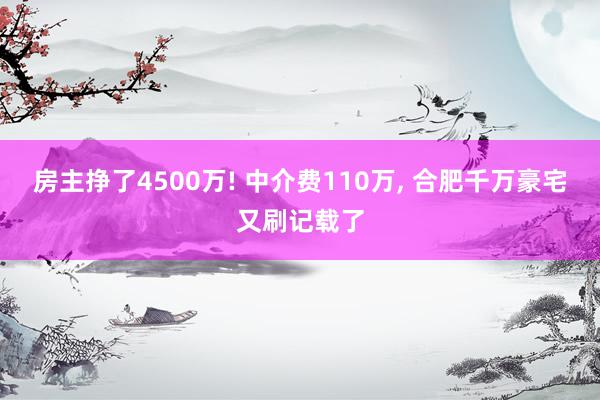 房主挣了4500万! 中介费110万, 合肥千万豪宅又刷记载了