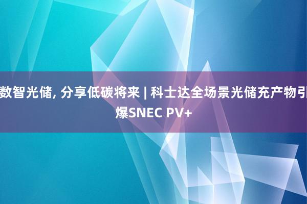 数智光储, 分享低碳将来 | 科士达全场景光储充产物引爆SNEC PV+