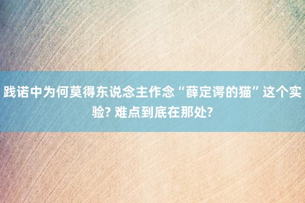 践诺中为何莫得东说念主作念“薛定谔的猫”这个实验? 难点到底在那处?