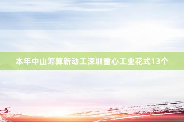 本年中山筹算新动工深圳重心工业花式13个