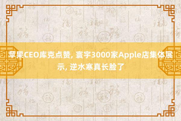 苹果CEO库克点赞, 寰宇3000家Apple店集体展示, 逆水寒真长脸了