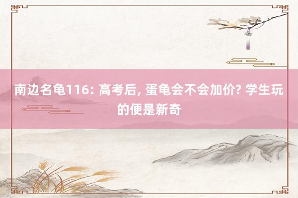 南边名龟116: 高考后, 蛋龟会不会加价? 学生玩的便是新奇