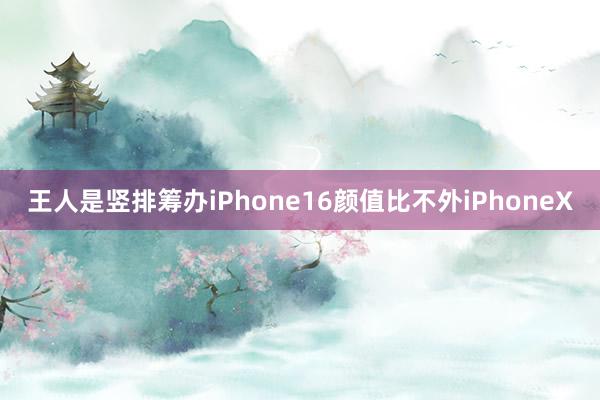 王人是竖排筹办iPhone16颜值比不外iPhoneX