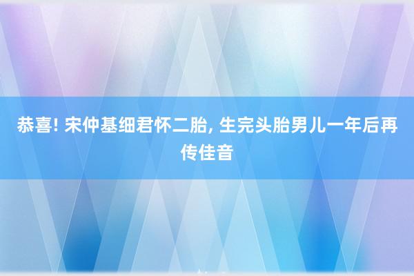 恭喜! 宋仲基细君怀二胎, 生完头胎男儿一年后再传佳音