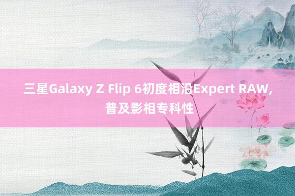 三星Galaxy Z Flip 6初度相沿Expert RAW, 普及影相专科性