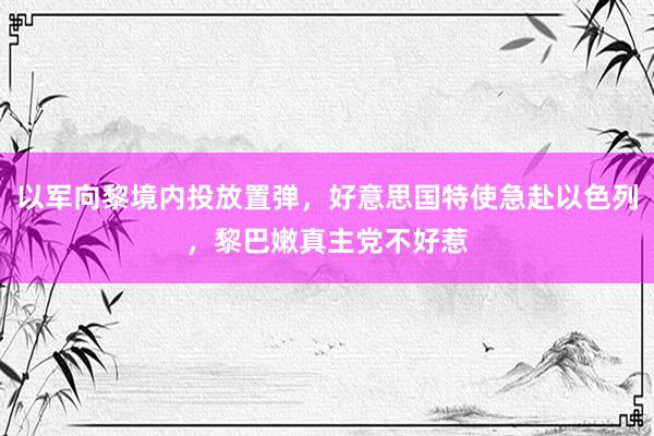 以军向黎境内投放置弹，好意思国特使急赴以色列，黎巴嫩真主党不好惹