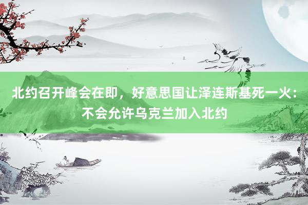 北约召开峰会在即，好意思国让泽连斯基死一火：不会允许乌克兰加入北约