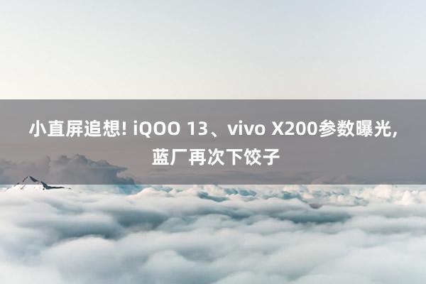 小直屏追想! iQOO 13、vivo X200参数曝光, 蓝厂再次下饺子