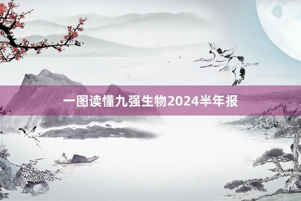 一图读懂九强生物2024半年报