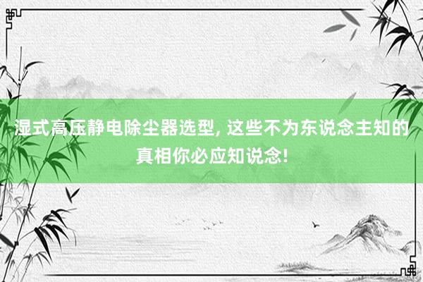 湿式高压静电除尘器选型, 这些不为东说念主知的真相你必应知说念!