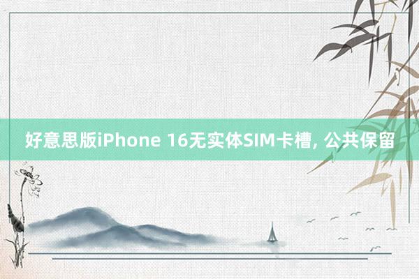 好意思版iPhone 16无实体SIM卡槽, 公共保留