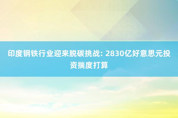 印度钢铁行业迎来脱碳挑战: 2830亿好意思元投资揣度打算