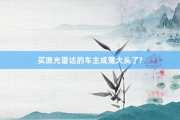 买激光雷达的车主成冤大头了?