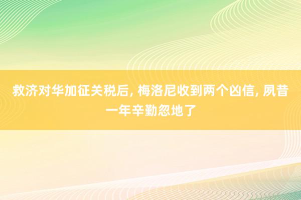 救济对华加征关税后, 梅洛尼收到两个凶信, 夙昔一年辛勤忽地了