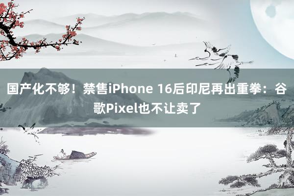 国产化不够！禁售iPhone 16后印尼再出重拳：谷歌Pixel也不让卖了